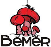 Bemer